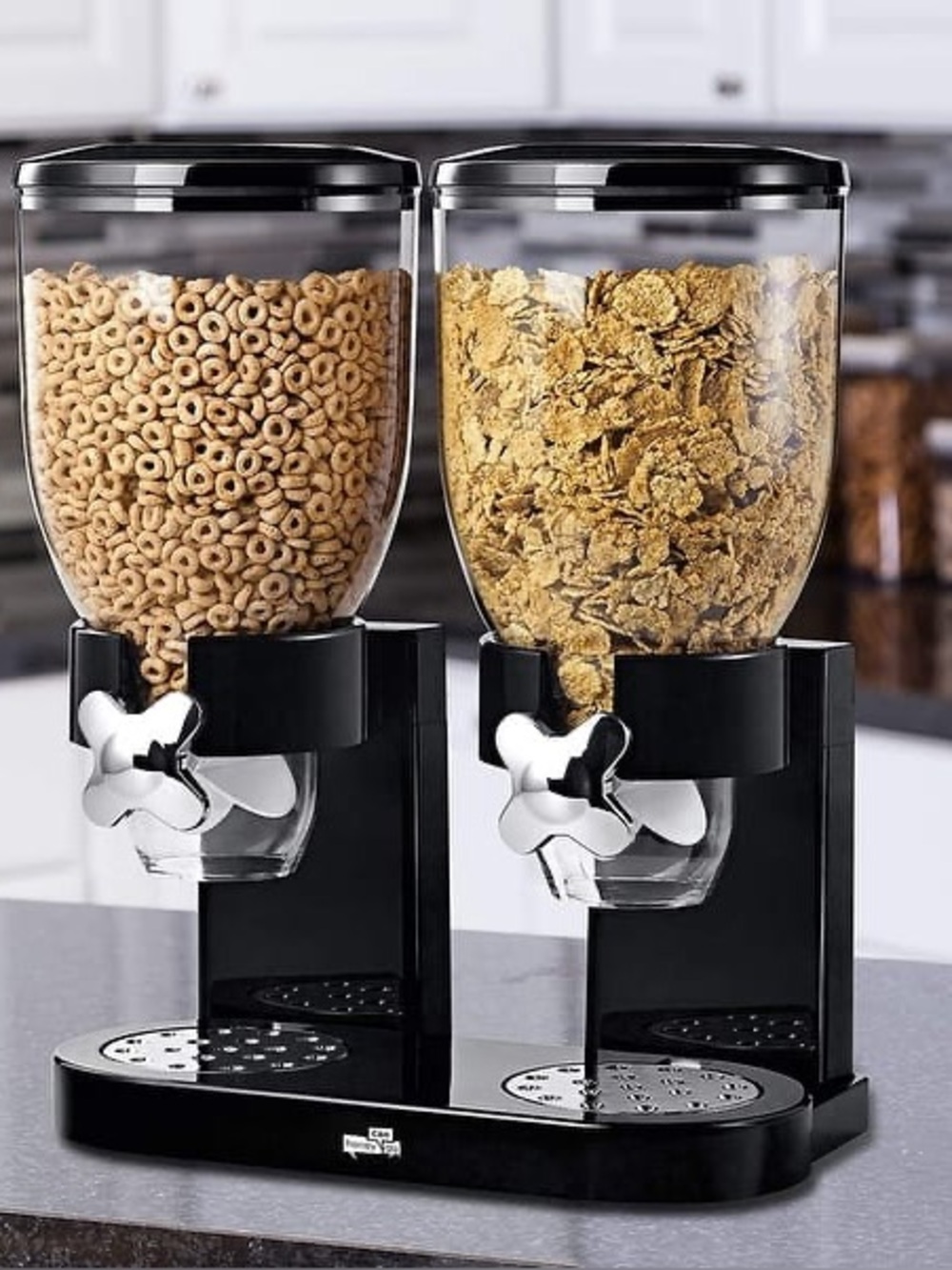 Dry food dispenser